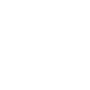 logo hankook